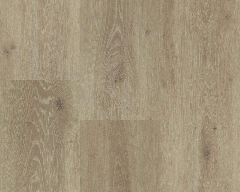 Hebeta 54804 Chamonix XL plank collectie