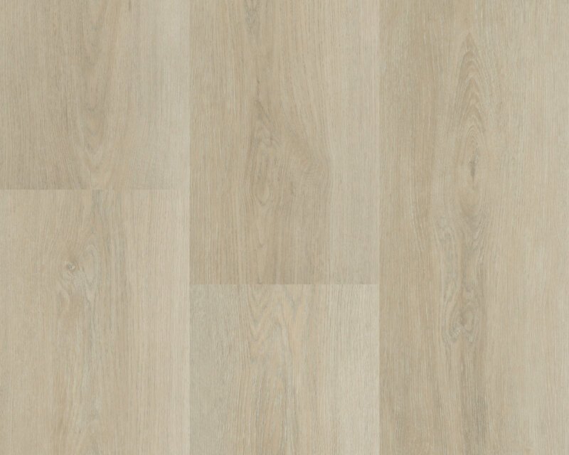 Hebeta 5446 Charente XL Plank collectie