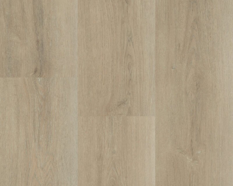 Hebeta 5447 Charente XL Plank collectie