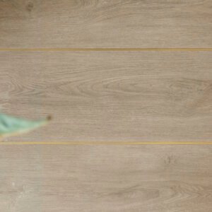 Hebeta 5447 Charente XL Plank collectie