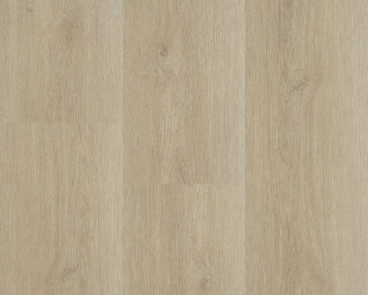 Hebeta 5460 Charente XL Plank collectie