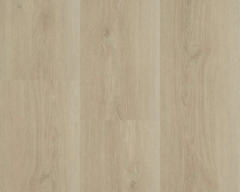 Hebeta 5460 Charente XL Plank collectie