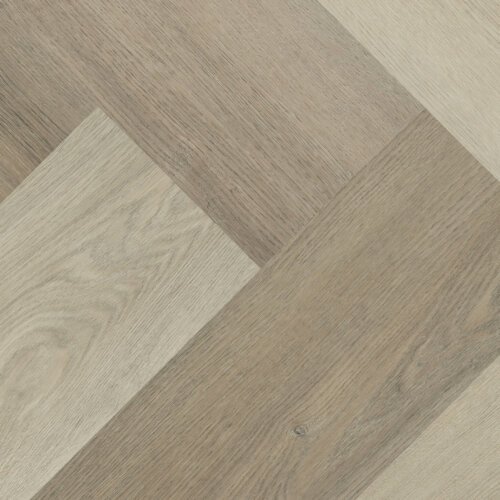 Hebeta 77567 Charente collectie