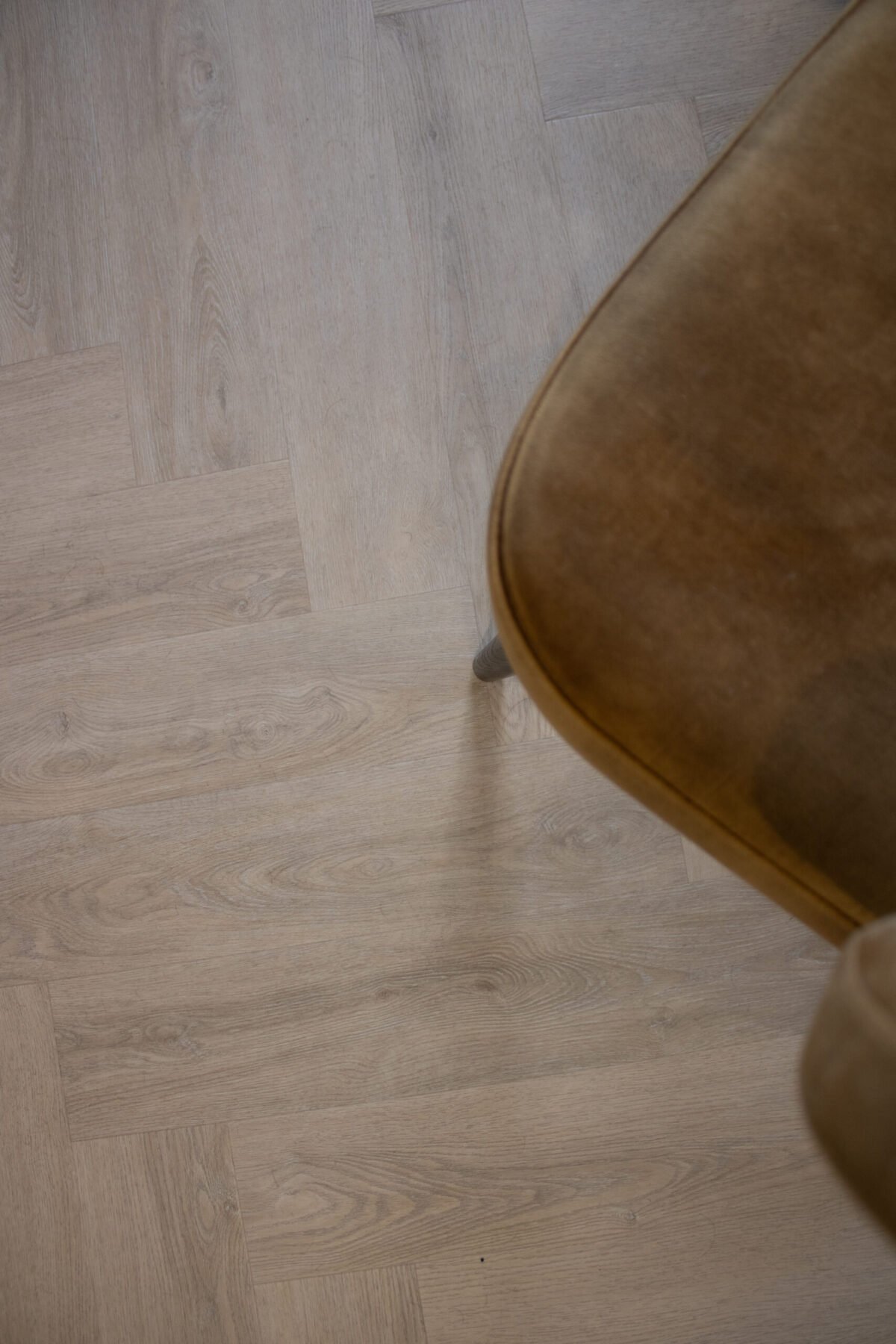Hebeta 7760 Charente Visgraat  collectie