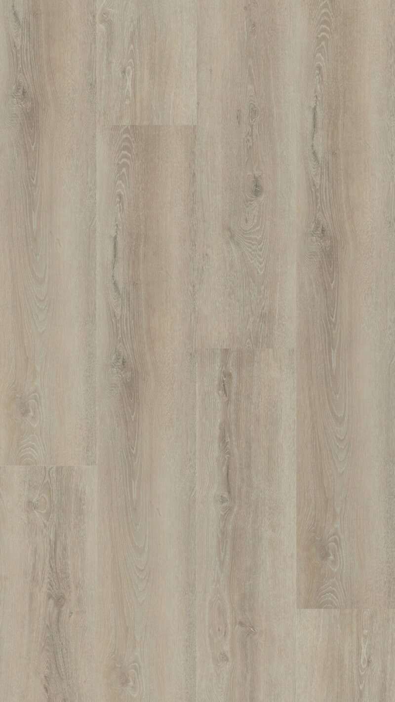 Hebeta 54816 Progress collectie