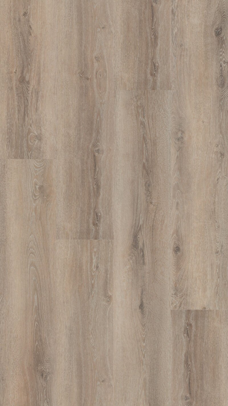 Hebeta 54817 Progress collectie