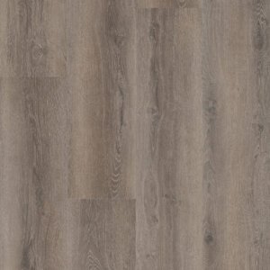 Hebeta 54818 Progress collectie