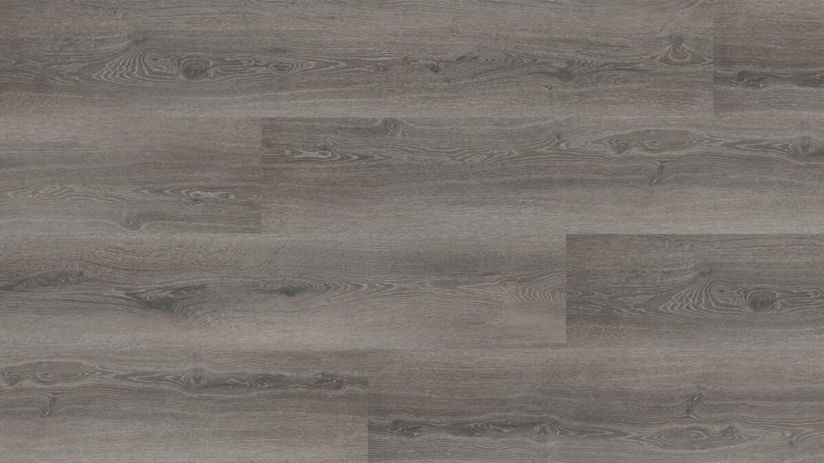 Hebeta 54819 Progress collectie
