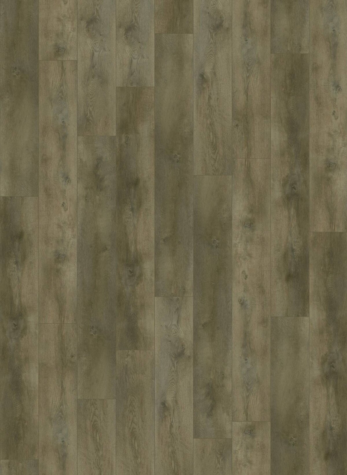 Gelasta Nevada Dryback 6000 Valley Oak Smoked