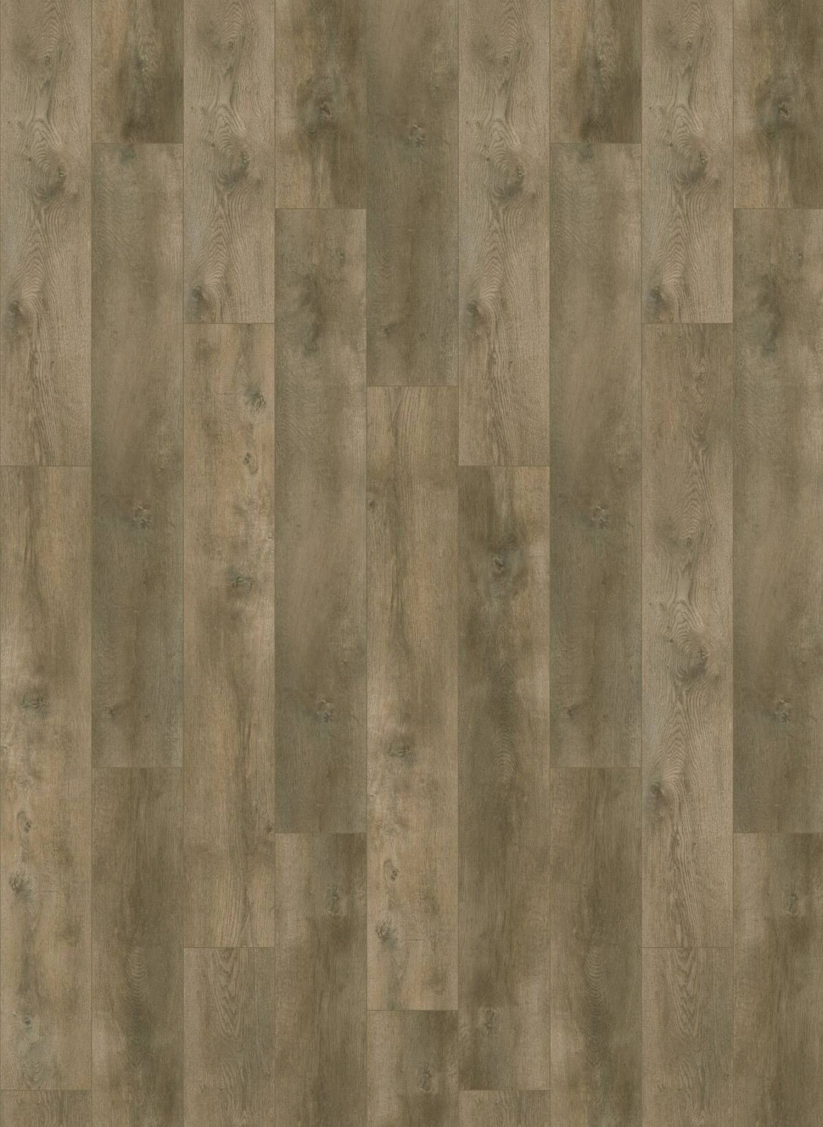 Gelasta Nevada Dryback 6001 Valley Oak Pepper