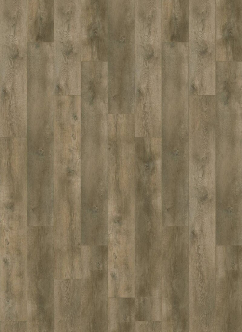 Gelasta Nevada Dryback 6001 Valley Oak Pepper