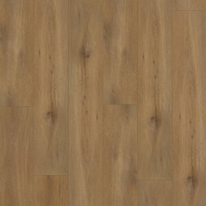 Gelasta Callisto Dryback 4100 Natural Oak Dark
