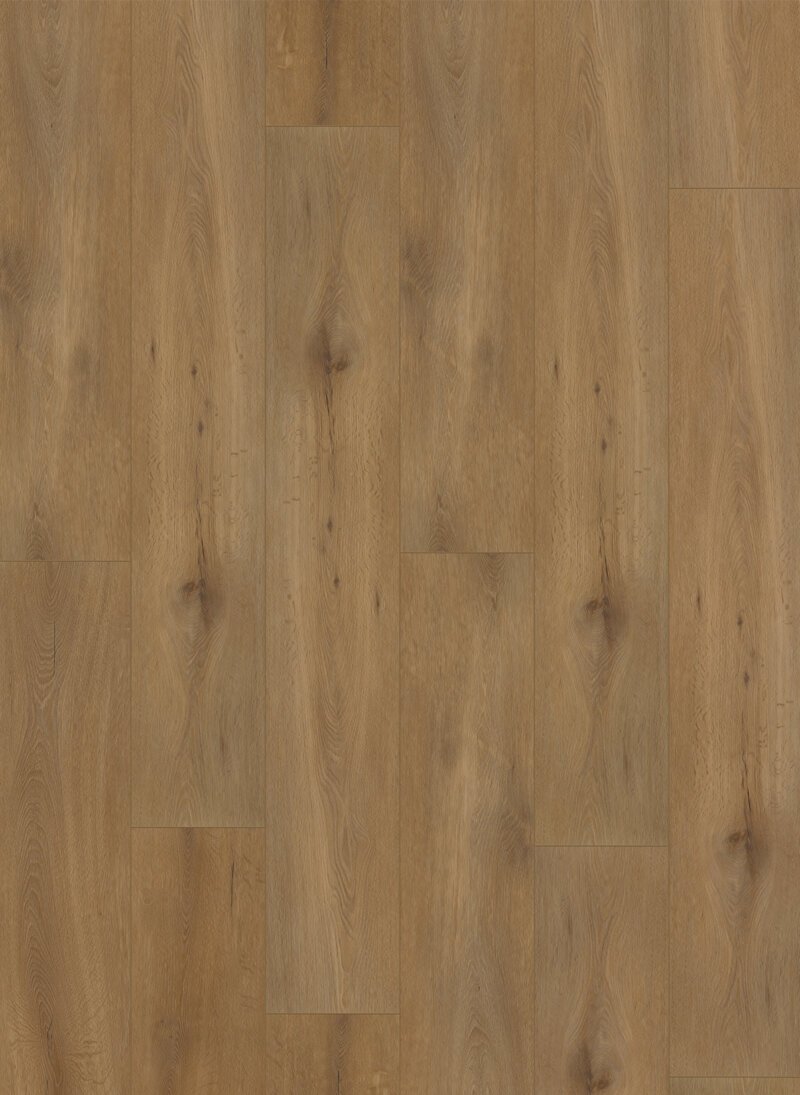 Callisto-4100 Gelasta Callisto Dryback 4100 Natural Oak Dark