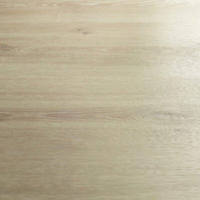 Hebeta 55804 Chamonix XL Plank Rigid click