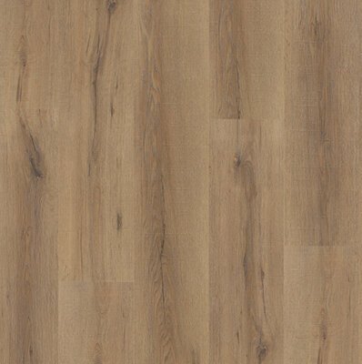 Gelasta City Dryback 4601 Smoked Oak Natural