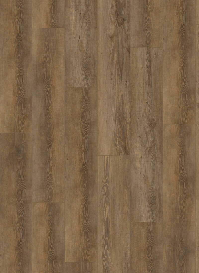 City - 4604 Gelasta City Dryback 4604 Olympia Pine Natural