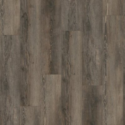 Gelasta City Dryback 4605 Olympia Pine Brown