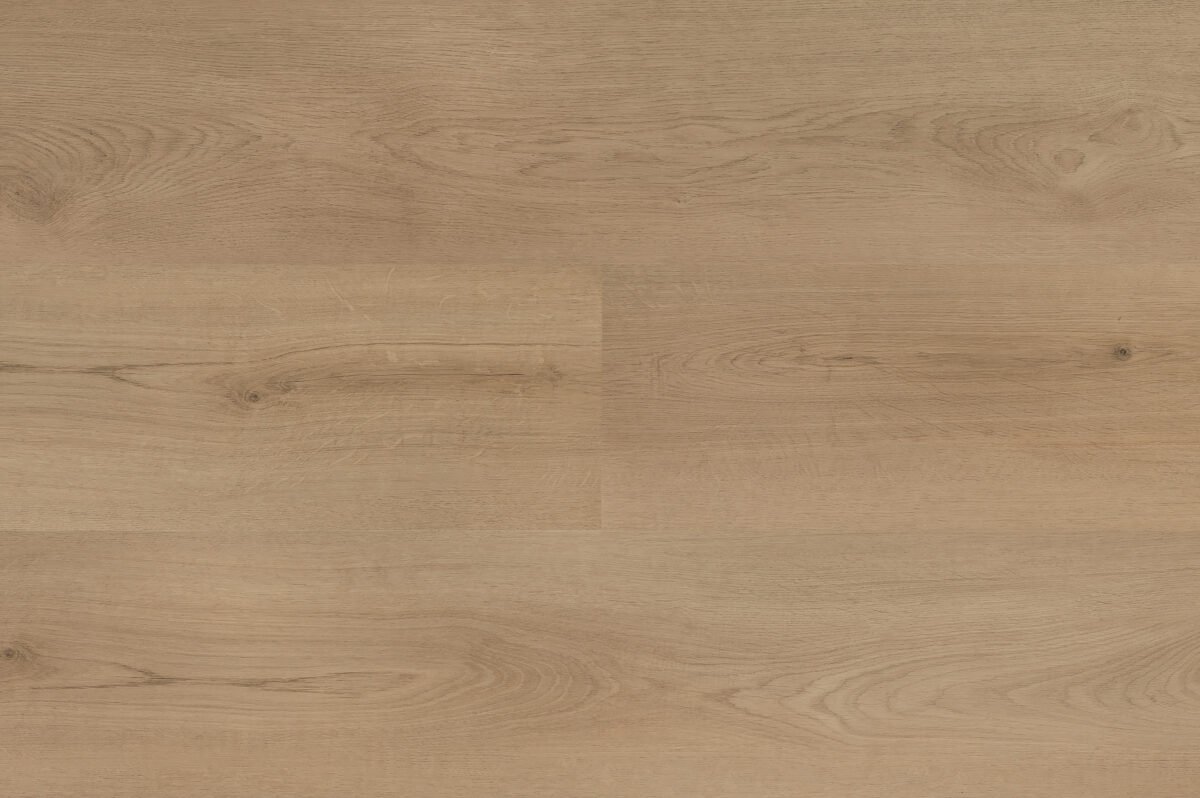 Hebeta 54820 Clermont collectie