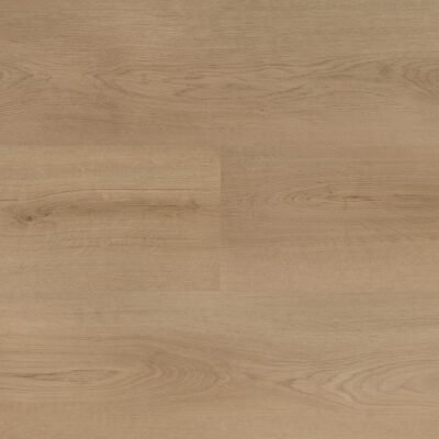 Hebeta 54820 Clermont collectie