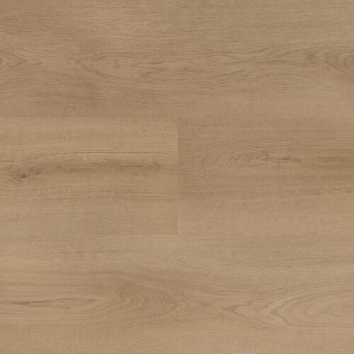 Hebeta 54820 Clermont collectie