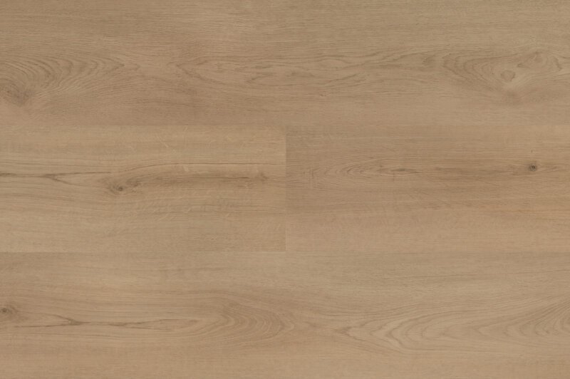 Hebeta 54820 Clermont collectie