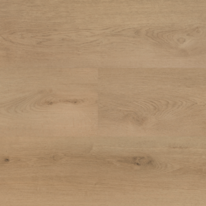 Hebeta 54821 Clermont collectie