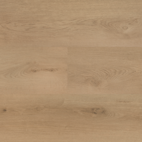 Hebeta 54821 Clermont collectie
