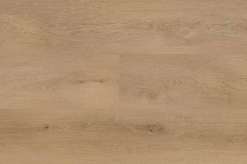 Hebeta 54821 Clermont collectie