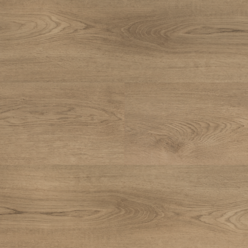 Hebeta 54822 Clermont collectie