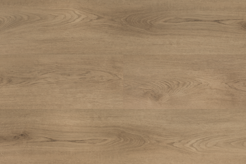 Hebeta 54822 Clermont collectie