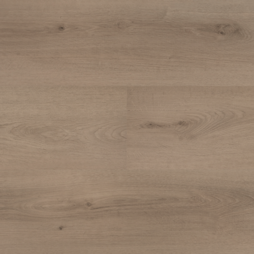 Hebeta 54823 Clermont collectie