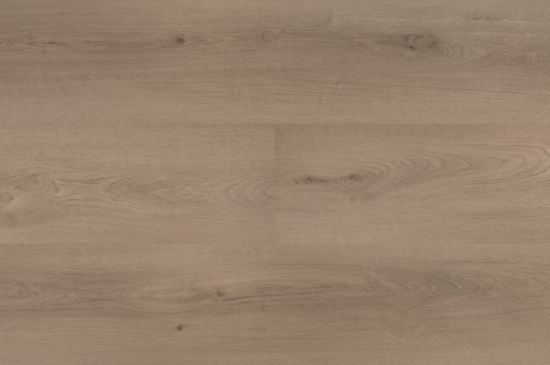 Hebeta 54823 Clermont collectie