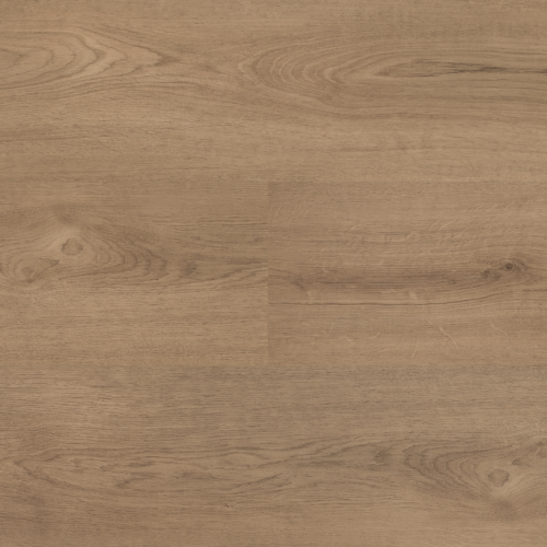 Hebeta 54824 Clermont collectie