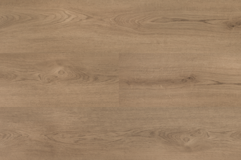Hebeta 54824 Clermont collectie