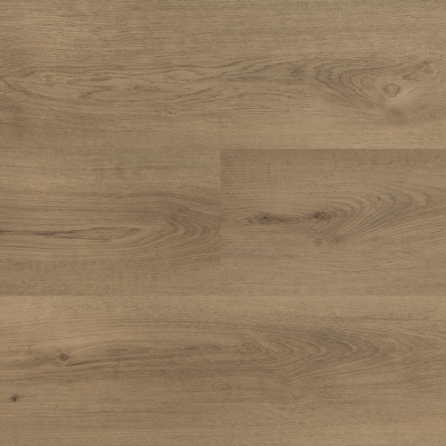 Hebeta 54825 Clermont collectie