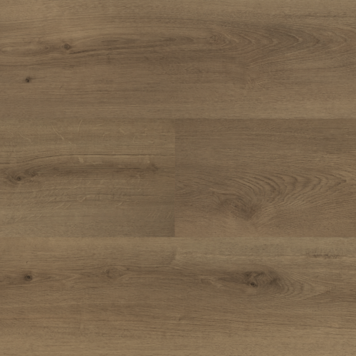 Hebeta 54826 Clermont collectie