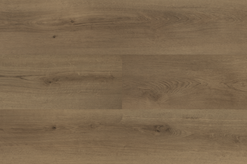 Hebeta 54826 Clermont collectie
