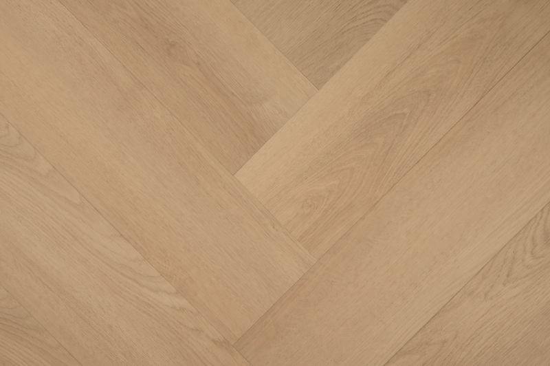 Hebeta 77821 Clermont collectie