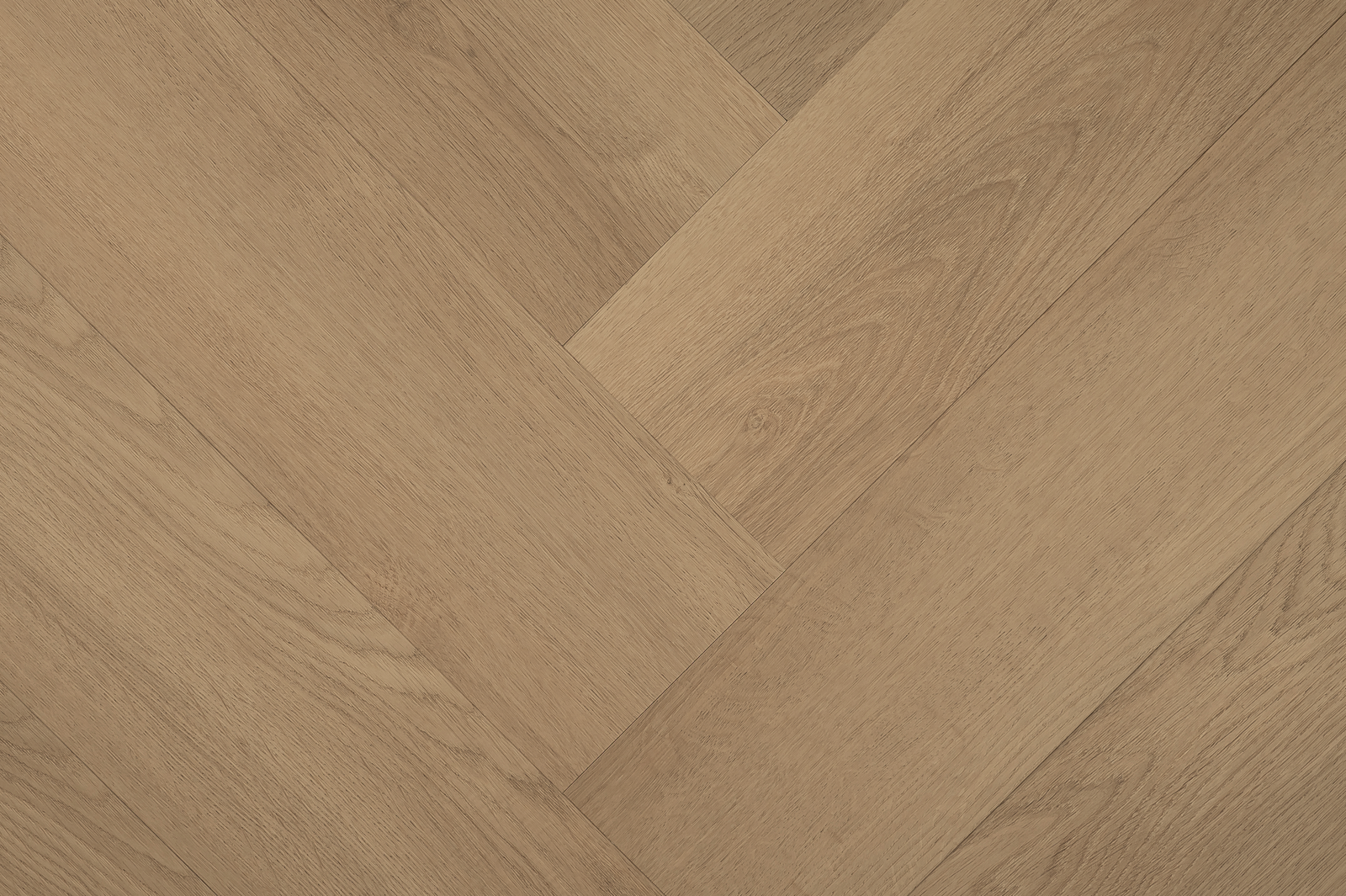 Hebeta 77822 Clermont collectie