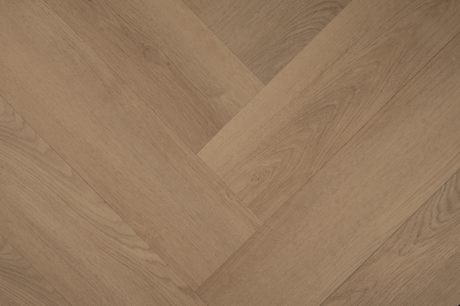 Hebeta 77824 Clermont collectie