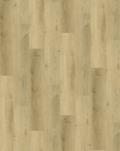 Country 4304 Prestige Oak Light