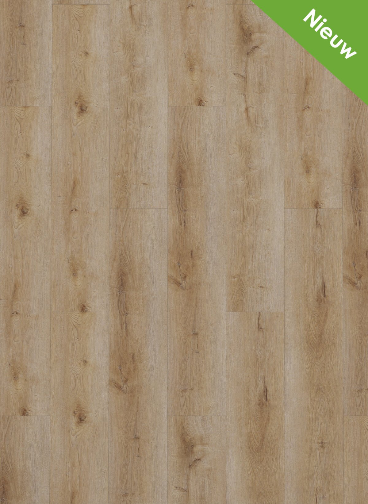 Gelasta Dynamic Dryback 2501 Natural Smoked