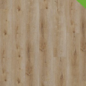 Gelasta Dynamic Dryback 2501 Natural Smoked
