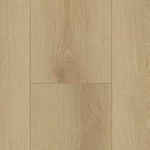 Firmfit Dryback 6500 Sierra Light