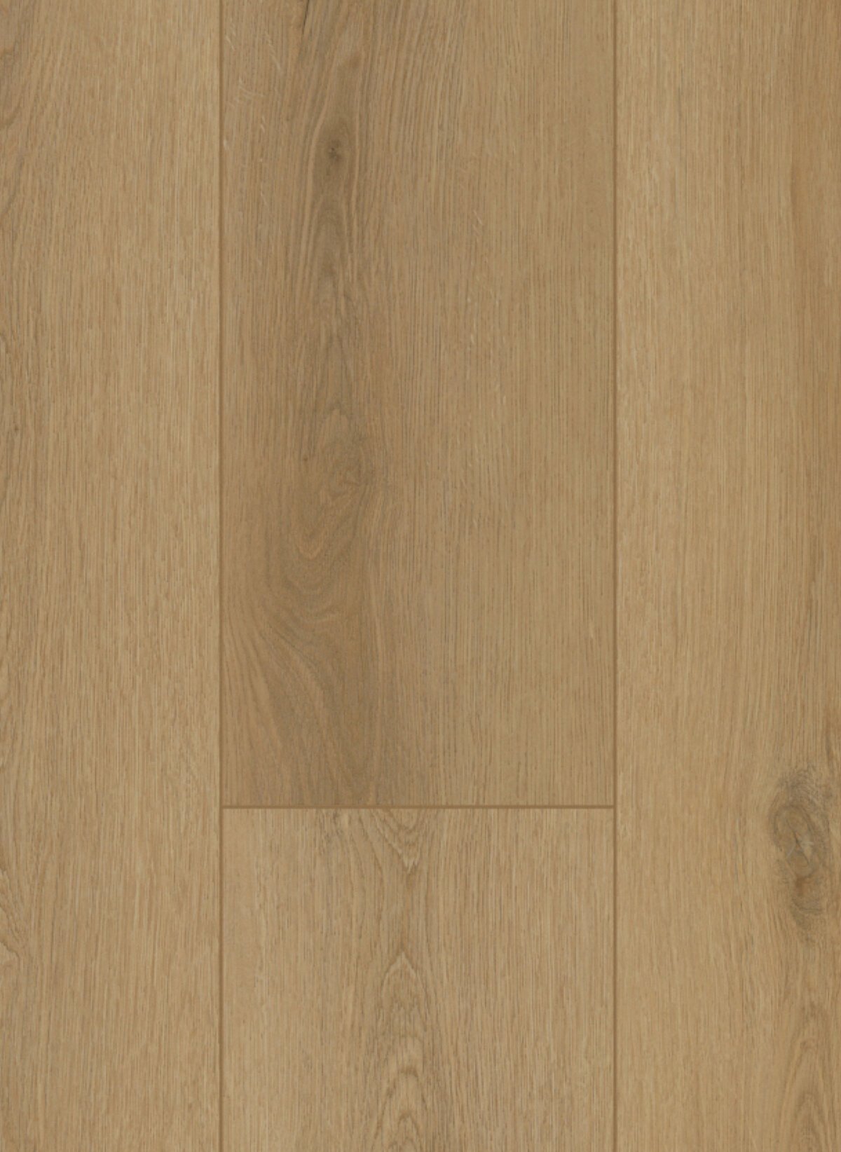 Gelasta Firmfit Dryback 6502 Sierra Naturel