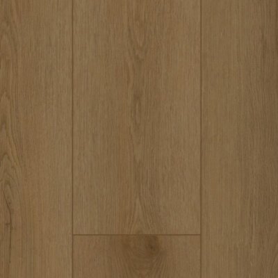 Gelasta Firmfit Dryback 6503 Sierra Brown