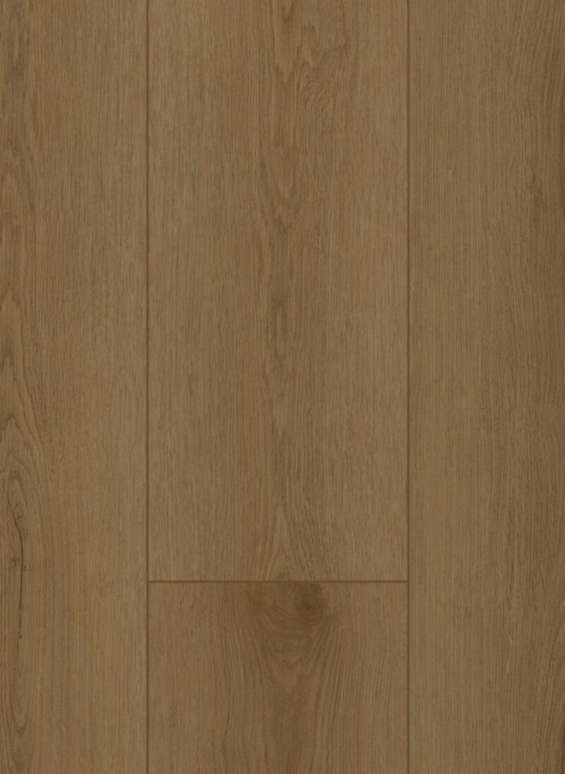 Gelasta Firmfit Dryback 6503 Sierra Brown