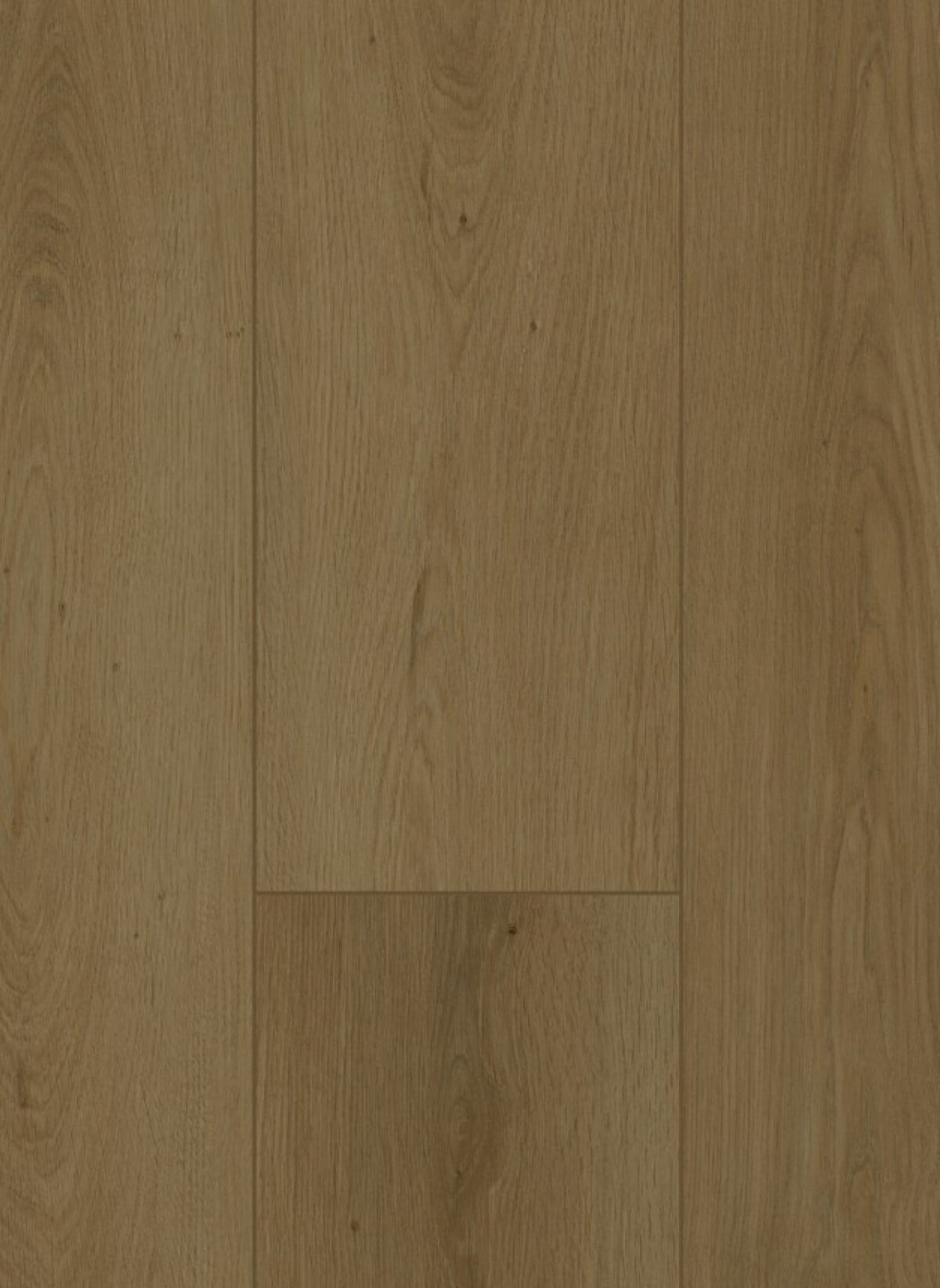 Gelasta Firmfit Dryback 6702 Summerfield Cinnamon