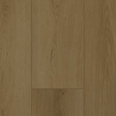 Gelasta Firmfit Dryback 6702 Summerfield Cinnamon