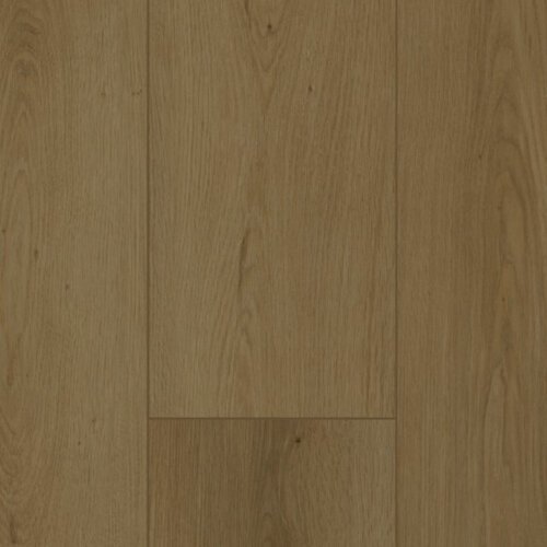 Gelasta Firmfit Dryback 6702 Summerfield Cinnamon